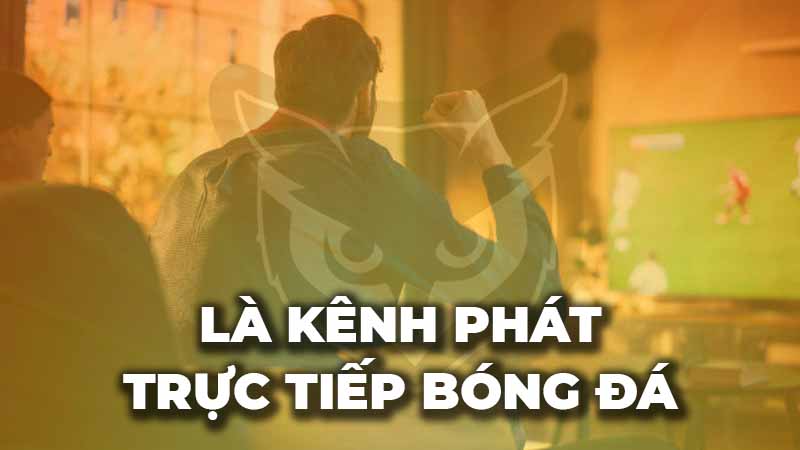 DemnayLive là kênh phát trực tiếp bóng đá